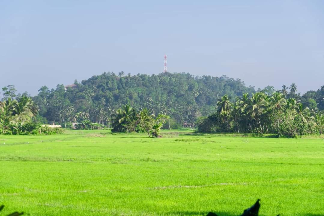 Hathawariya Green View Cabin Talpe Exterior photo